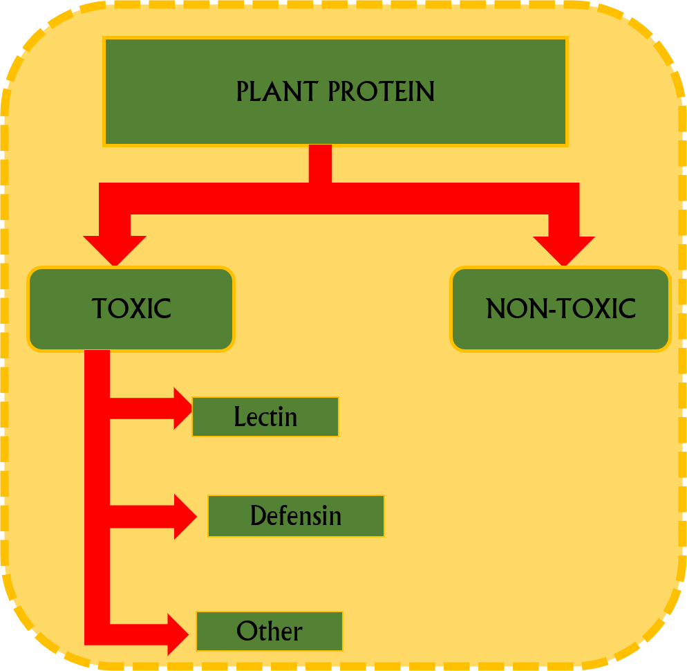 Toxin Structure
